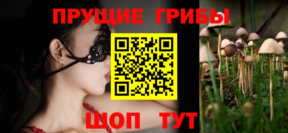 Галлюциногенные грибы MAGIC MUSHROOMS  Вход с VPN  Сызрань 